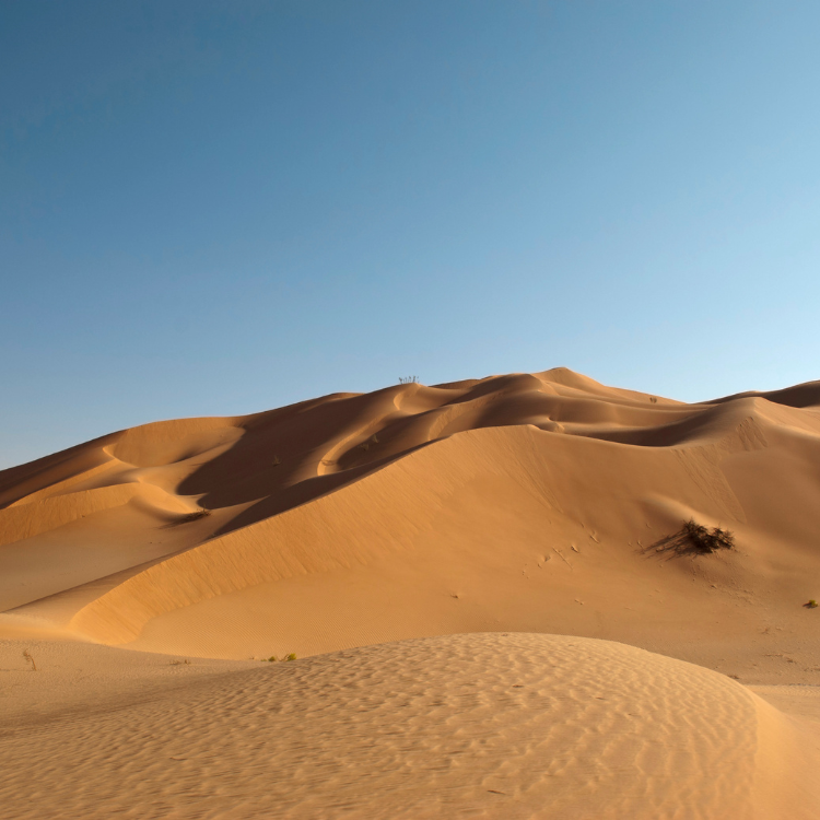 Immagine di un deserto